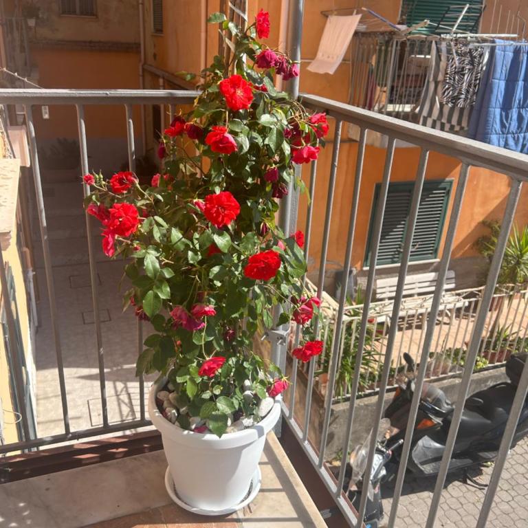 Sissi House Salerno - Appartamento con 2 Camere da Letto - 35