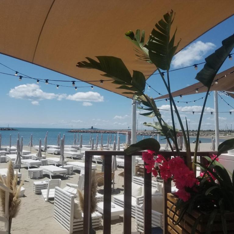 Sète Marina des Quilles, grand T2 climatisé, proche plage, parking privé - Appartement 1 Chambre - 22