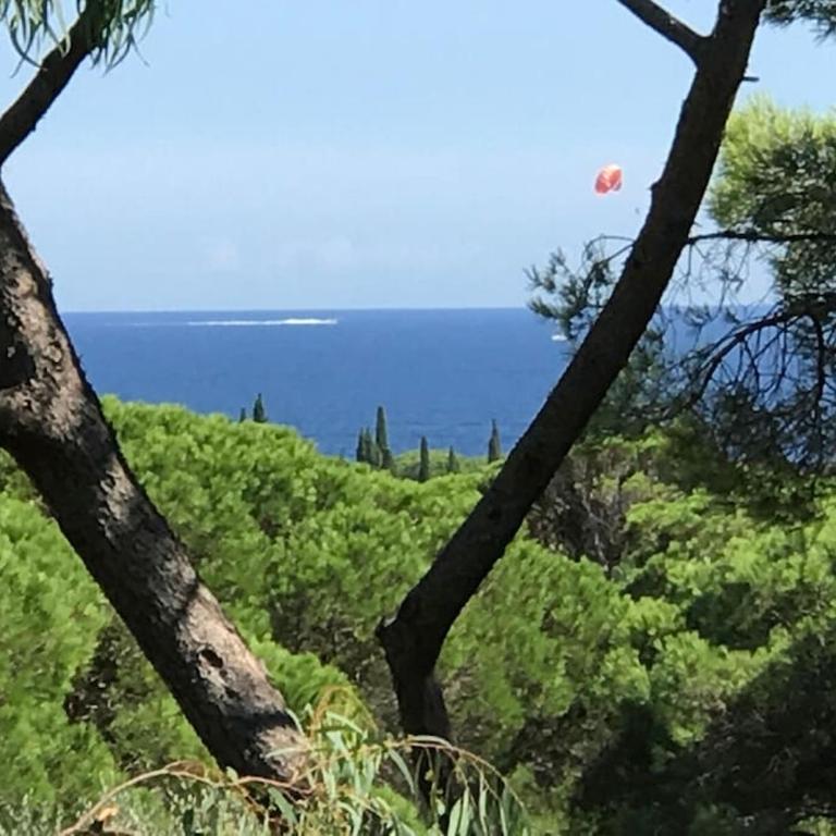 Villa La Tartane - Les Issambres - Villa - 7