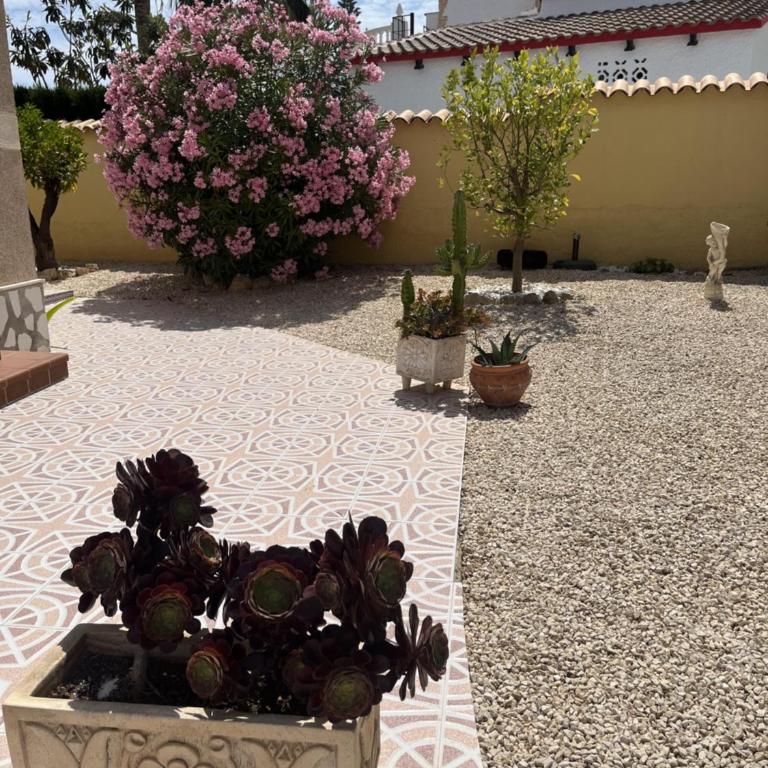 Villa Torrevieja - Villa - 7