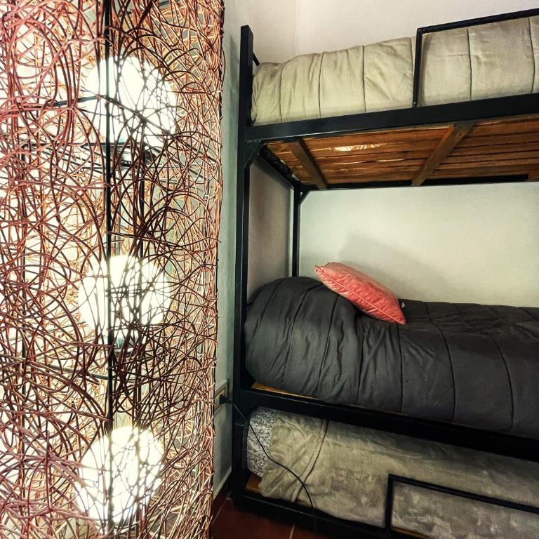 Departamentos Turísticos Saavedra - Apartamento de 1 dormitorio - 20