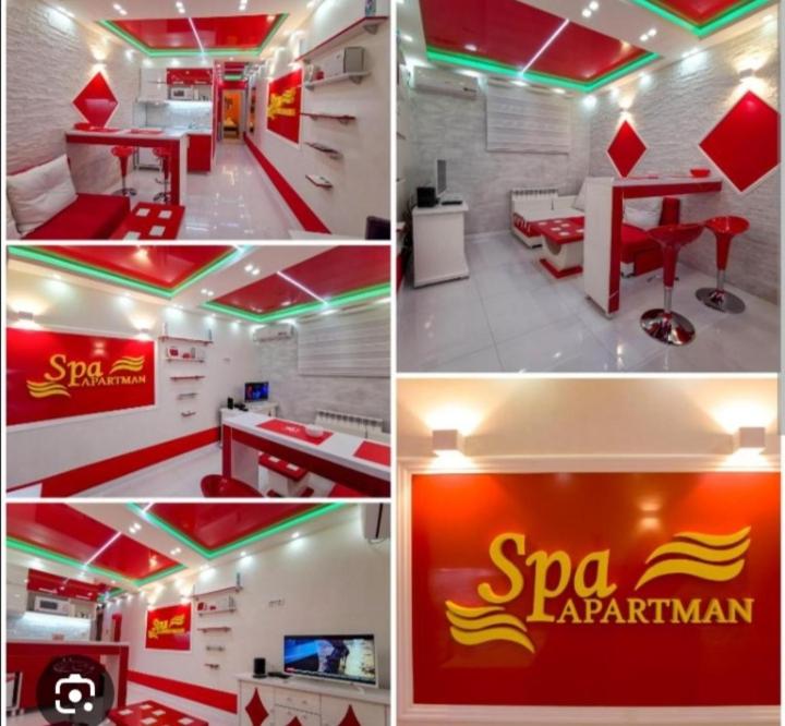 Spa Apartman Vracar - Apartman sa 1 Spavaćom Sobom - 5