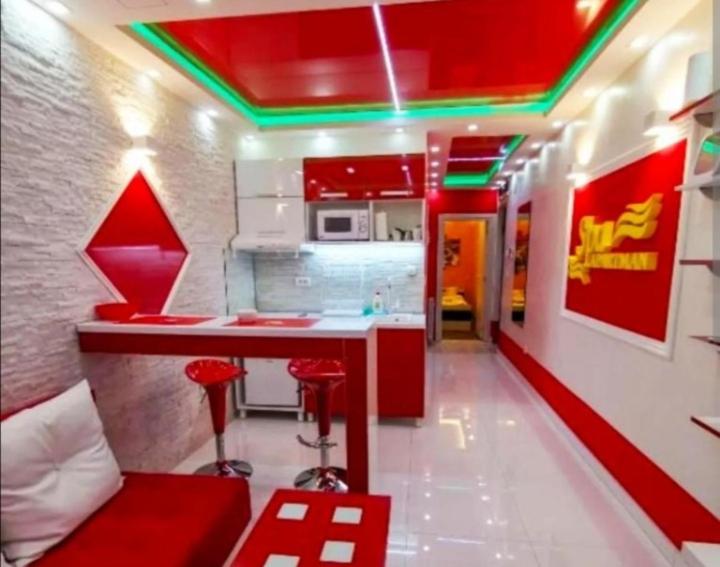 Spa Apartman Vracar - Apartman sa 1 Spavaćom Sobom - 6