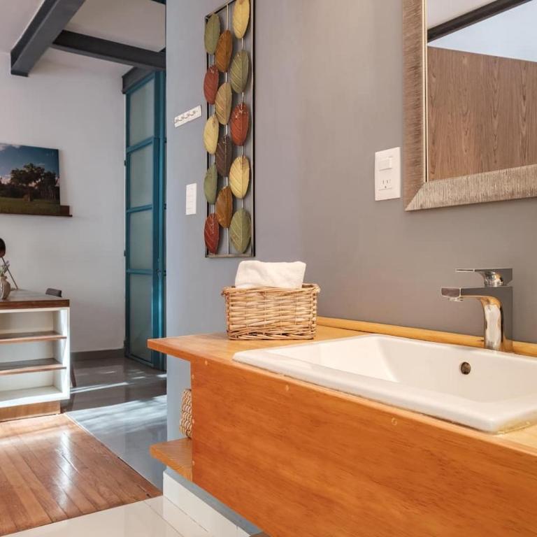 Bright & Stylish Apt With Balcony Reforma Avenue - Single Room with Balcony - 5
