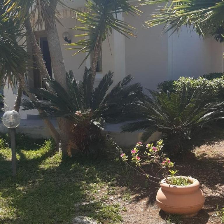 Villa Salvina Beach - Casa con 1 Camera da Letto - 1