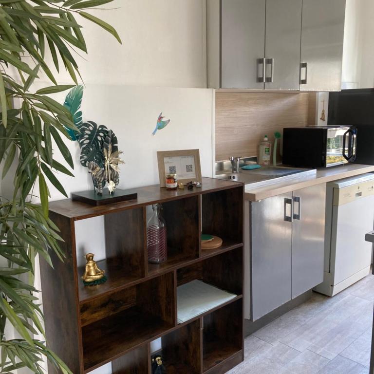 La jungle, centre ville, videoprojecteur, proche gare et commerce, 150m de la mer - Appartement 1 Chambre - 16