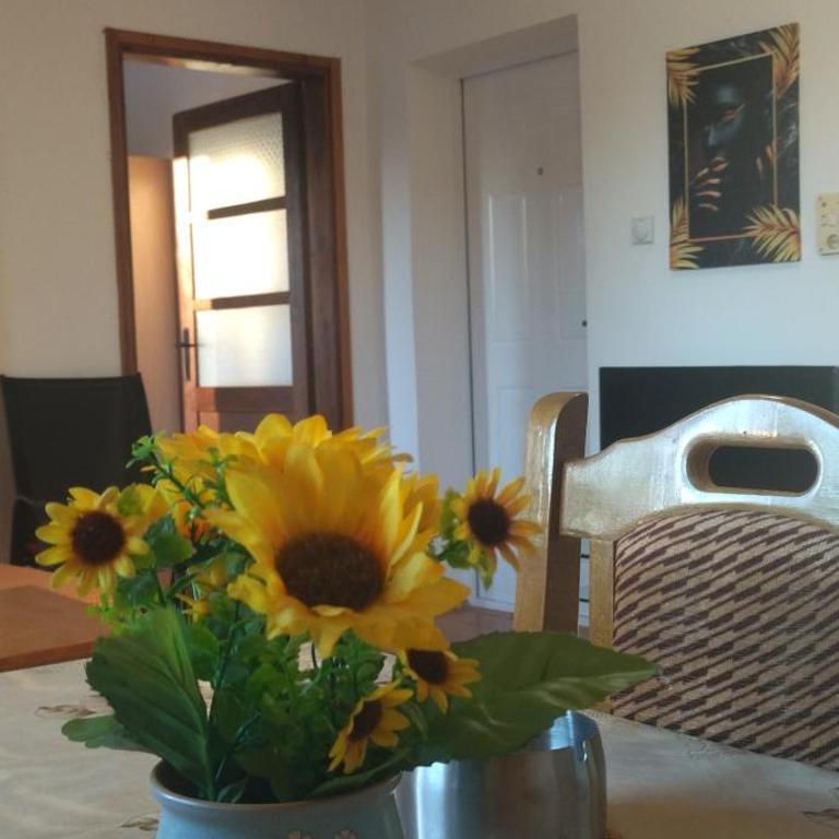 Vila Lenka Sokobanja - Apartment with Balcony - 2