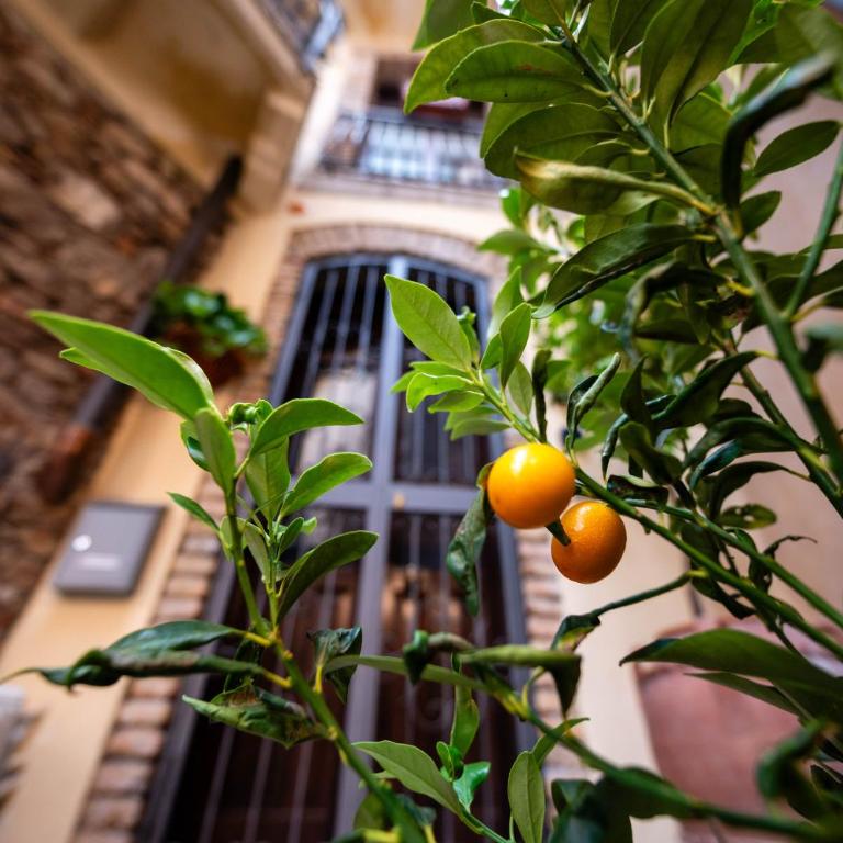 Central apartment Taormina - Appartamento Superior con 2 Camere da Letto - 8