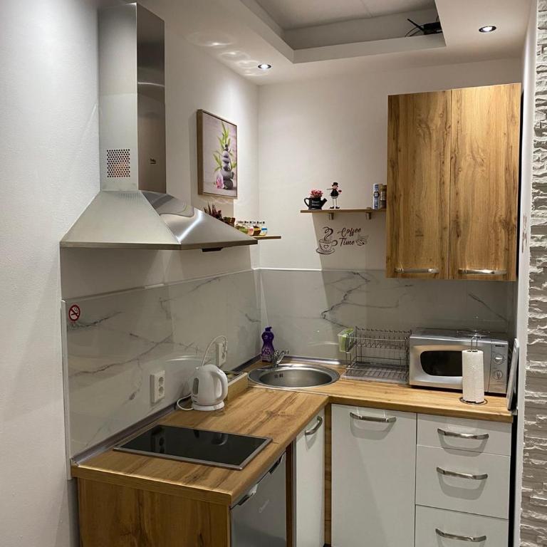 Apartman UNA-Plandište - One-Bedroom Apartment - 5