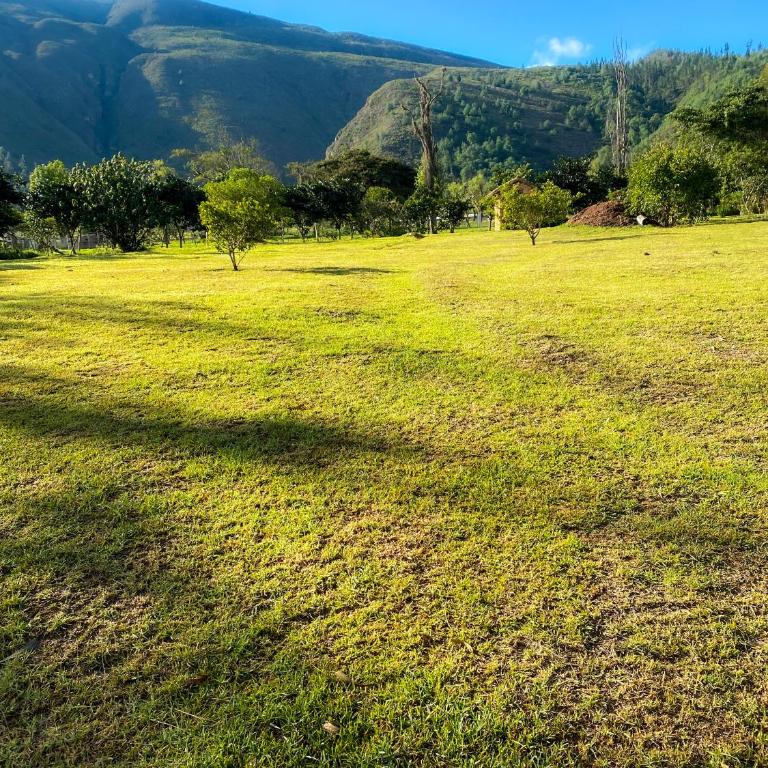 "Suite Cabaña Cantodeagua - Jacuzzi -Refugio en Reserva Natural Urbana - Villa de Leyva" - Villa Deluxe - 23