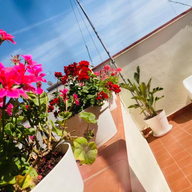 Lavica Di Mezzo Apartments - Maisonette - 5