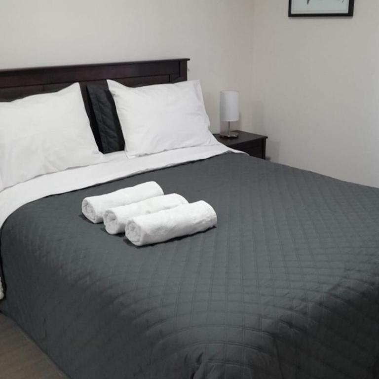 Claro Centro Temuco - Apartamento de 1 dormitorio - 5