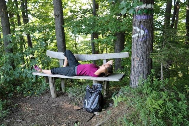 Serschenhof- Auszeit über dem Stall - Appartamento con 2 Camere da Letto - 16