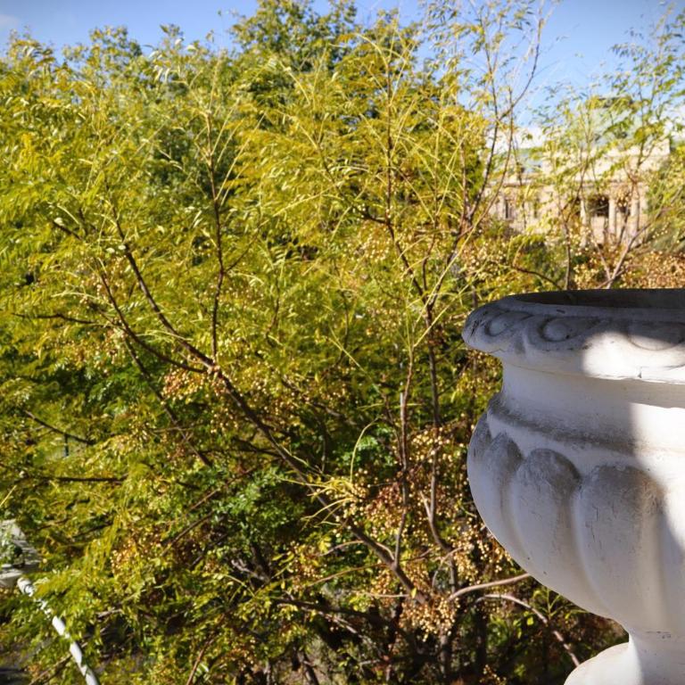 HOM I Departamento 4 PAX Cerca Museo Bellas Artes - Apartamento - 25