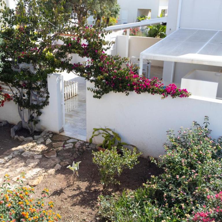 La Casetta di Leo - Favignana - Casa Vacanze - 14
