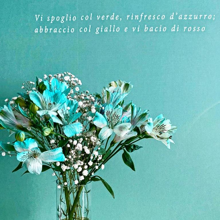 Stelle d'acqua - Camera Deluxe - 11