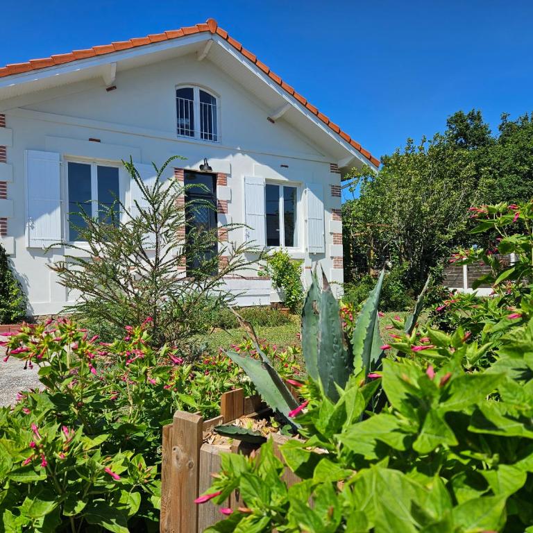 Maison de ville avec piscine - Maison 5 Chambres - 1