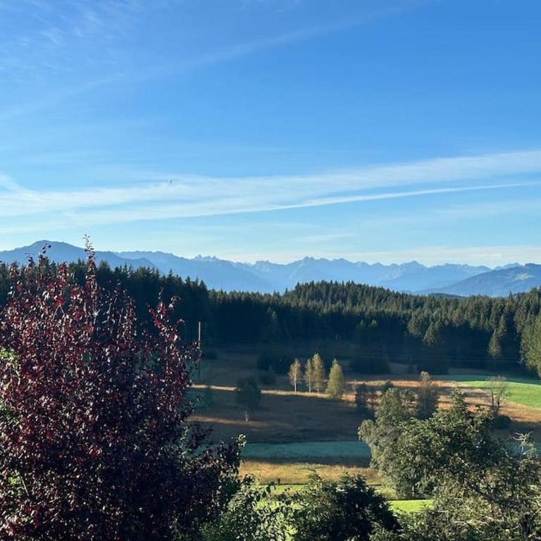 Alpenpanorama Renoviertes Apartment mit Bergblick - Apartment mit 1 Schlafzimmer - 11