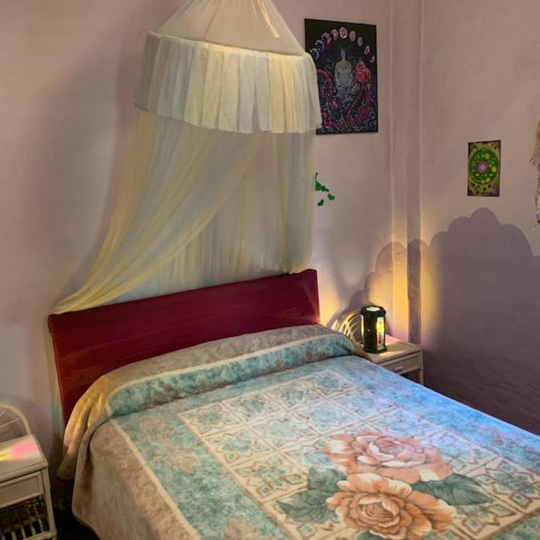 La casita del Río Guadiato - Casa con 1 dormitorio - 2