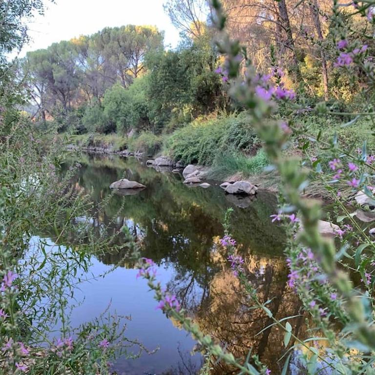 La casita del Río Guadiato - Casa con 1 dormitorio - 30