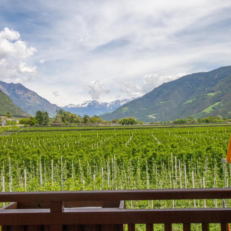Hof Schupfer - Alpstay - Appartement 1 Chambre - 11