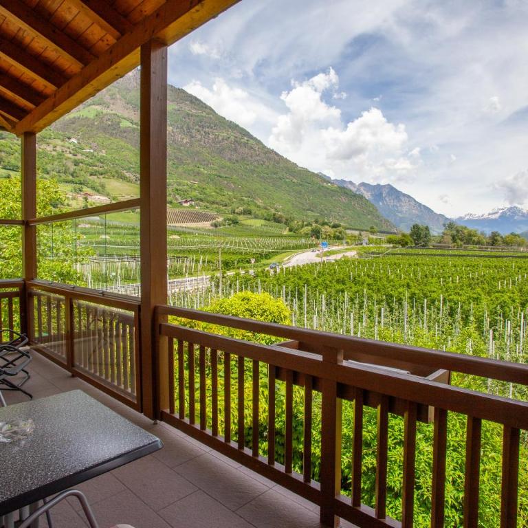 Hof Schupfer - Alpstay - Appartement 1 Chambre - 10