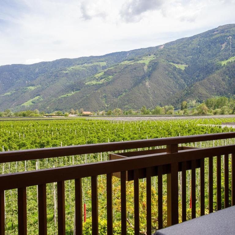 Hof Schupfer - Alpstay - Appartement 1 Chambre - 8