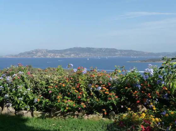 Villetta splendida vista mare - Two-Bedroom House - 16