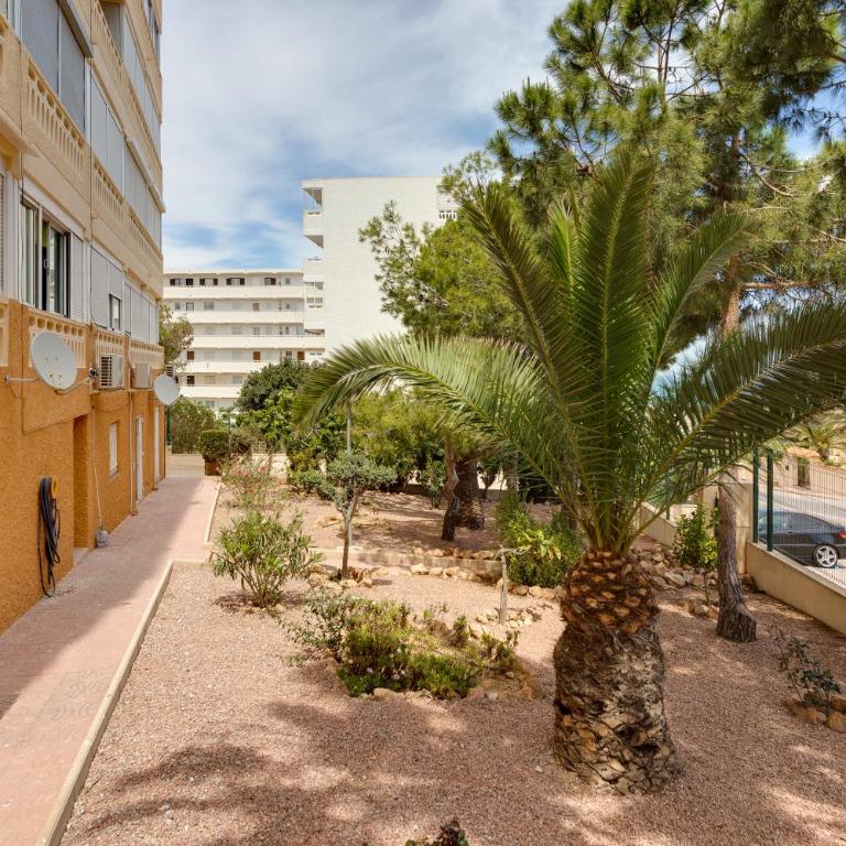Estudio La Mata - Apartamento Estudio - 27