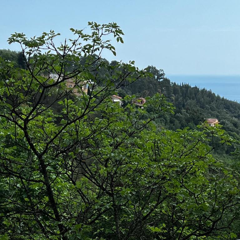 EZE Roc Monaco & Concierge - Appartement 1 Chambre - 13