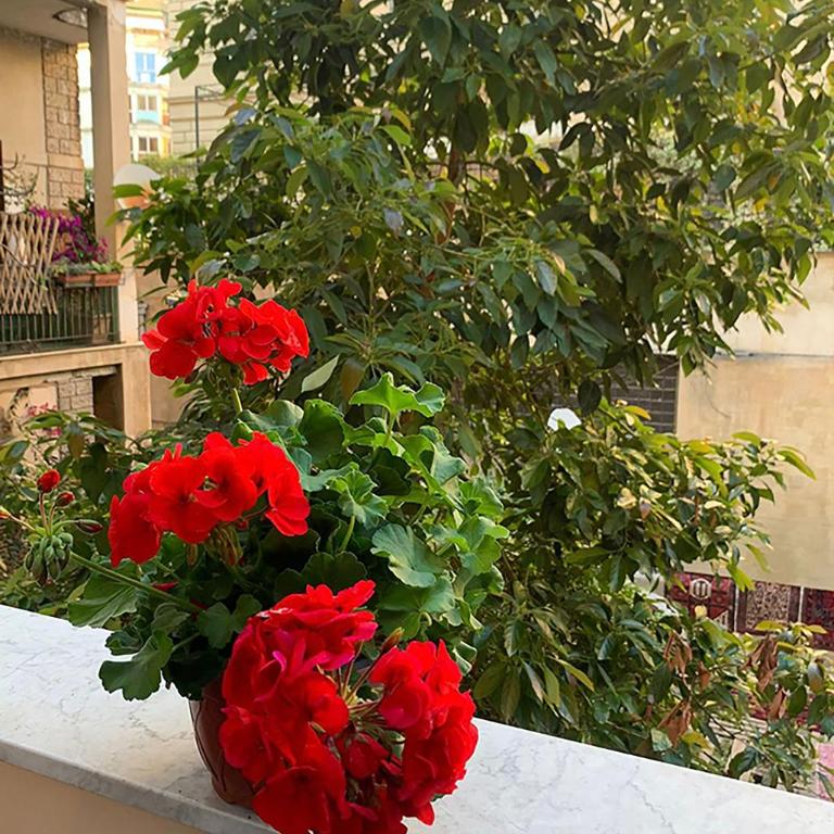 Ermosa Suite - Camera Matrimoniale con Balcone - 11