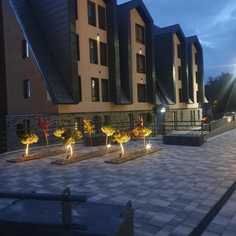 B9 Divcinova - One-Bedroom Apartment - 2