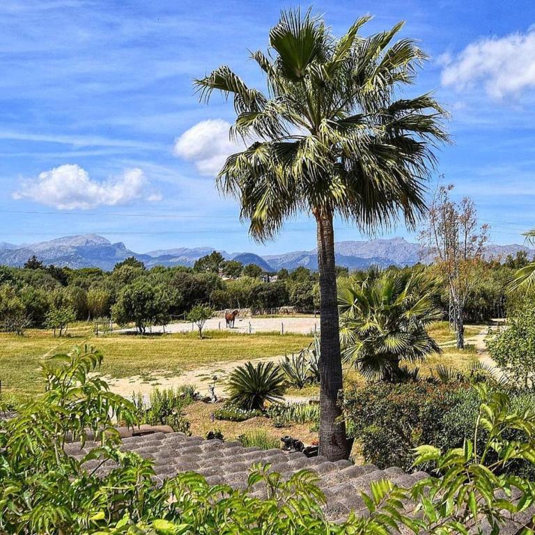 Finca in Alcudia with Pool near Playa MorerVermell - Apartamento de 5 dormitorios - 36