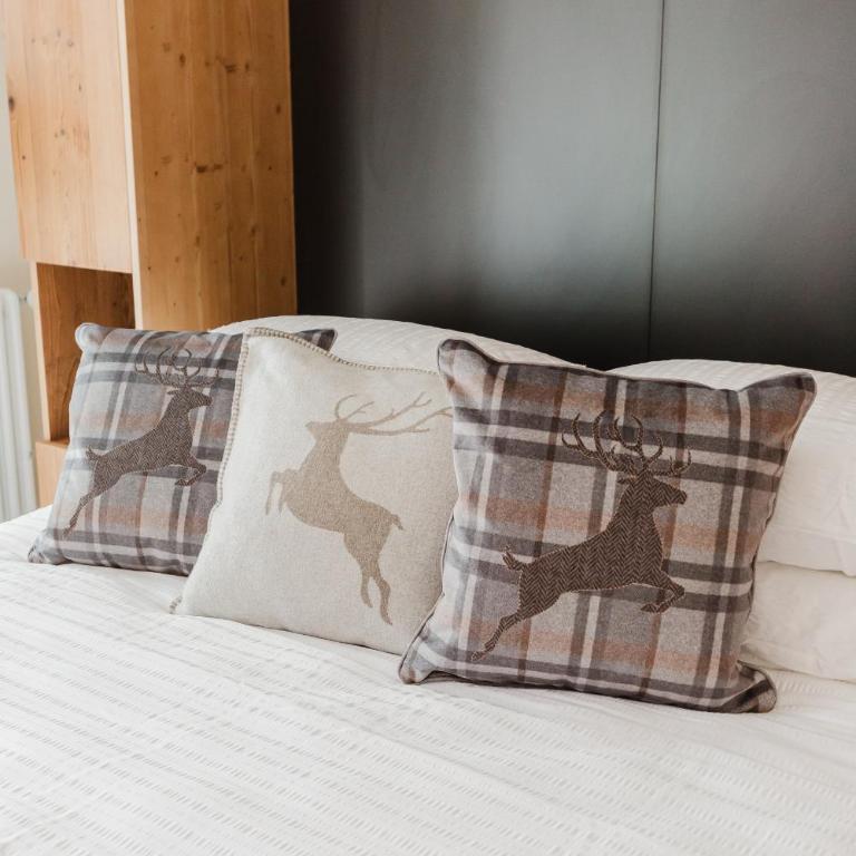 PINZOLO MOUNTAIN LODGE - Apartamento - 2 niveles - 26