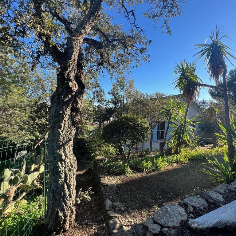 Authentique Villa le Cactus entièrement rénovée climatisée proche des plages du centre du Lavandou et du supermarché - Villa Standard - 63