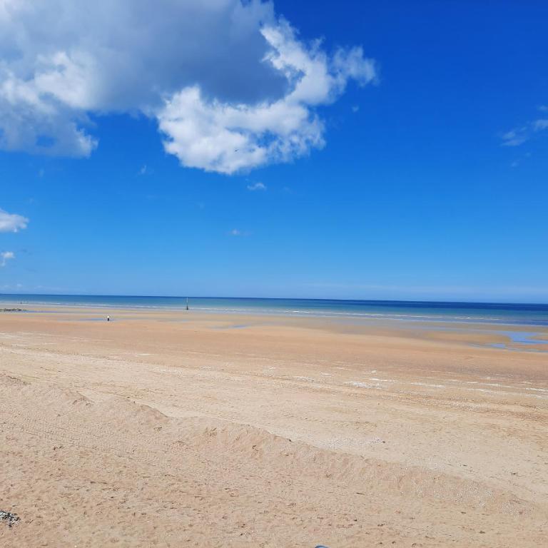 Horizon Marin accès direct plage - Appartement 1 Chambre - 19