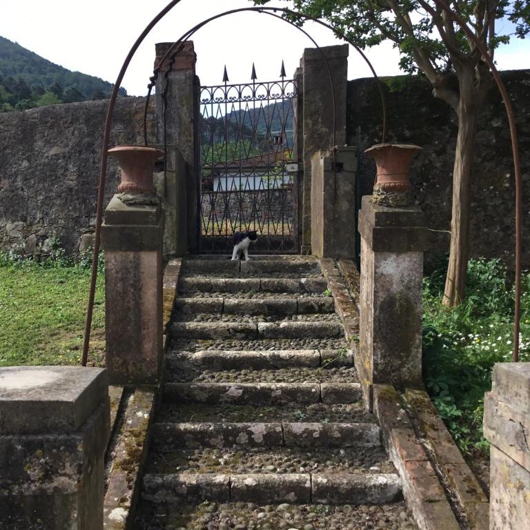 Villa Tambellini de Fondra - Appartamento Deluxe con 2 Camere da Letto - 3
