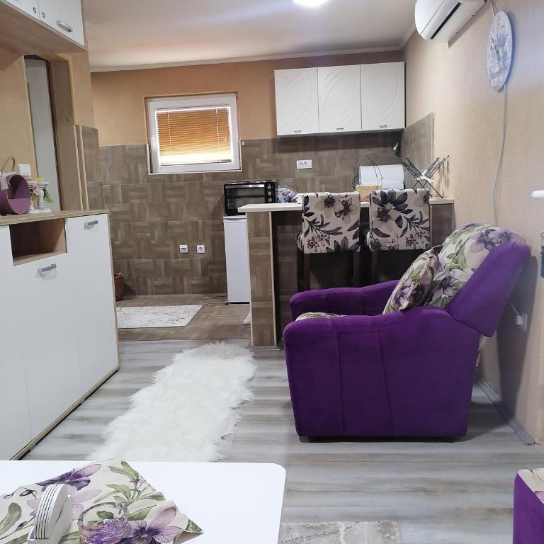 Stan na dan Danijela - Apartman sa 1 Spavaćom Sobom - 5