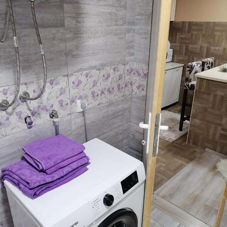 Stan na dan Danijela - Apartman sa 1 Spavaćom Sobom - 4