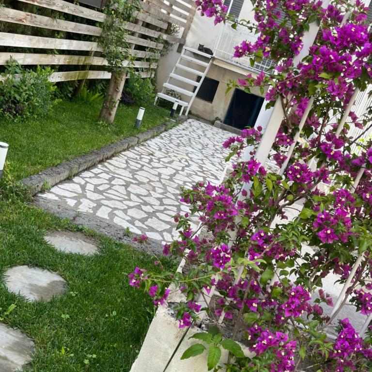 Ammos Suite Sorrento Coast - Appartamento con Vista Giardino - 3