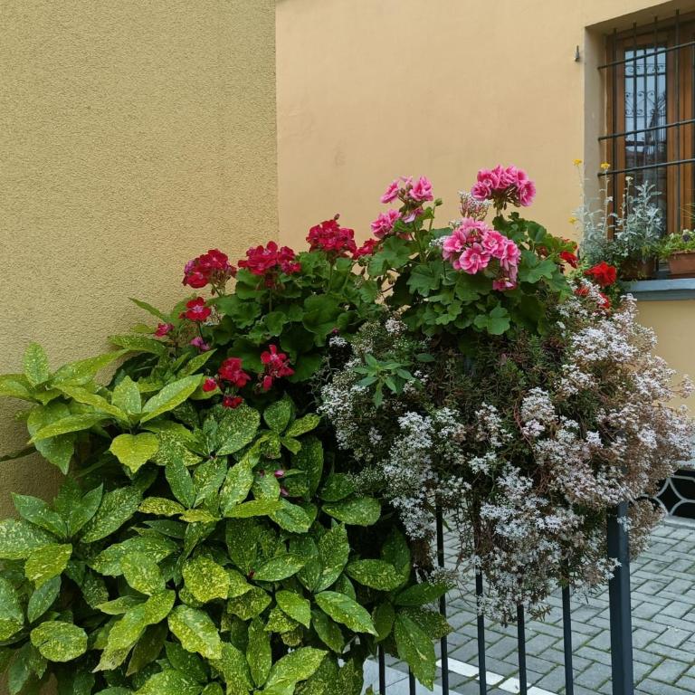 Appartamenti Borghetto San Donato 105 - Superior Apartment - 2