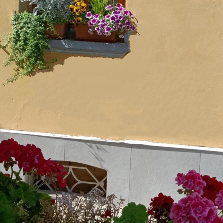 Appartamenti Borghetto San Donato 105 - Superior Apartment - 4
