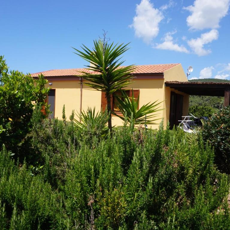 Rosanna House in Bombarde Beach - Appartamento con 2 Camere da Letto e Vista Giardino - 7