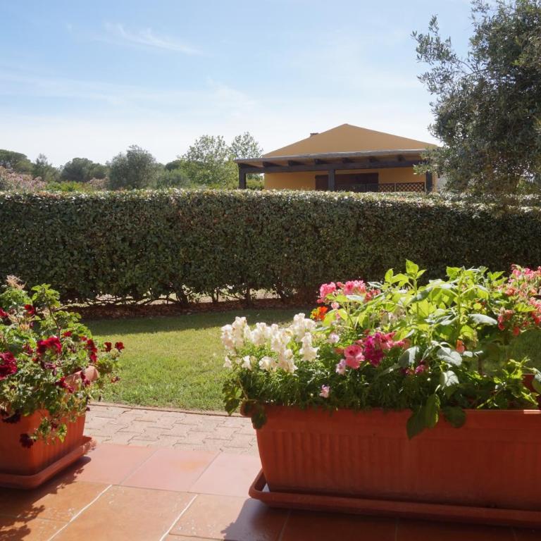 Rosanna House in Bombarde Beach - Appartamento con 2 Camere da Letto e Vista Giardino - 12