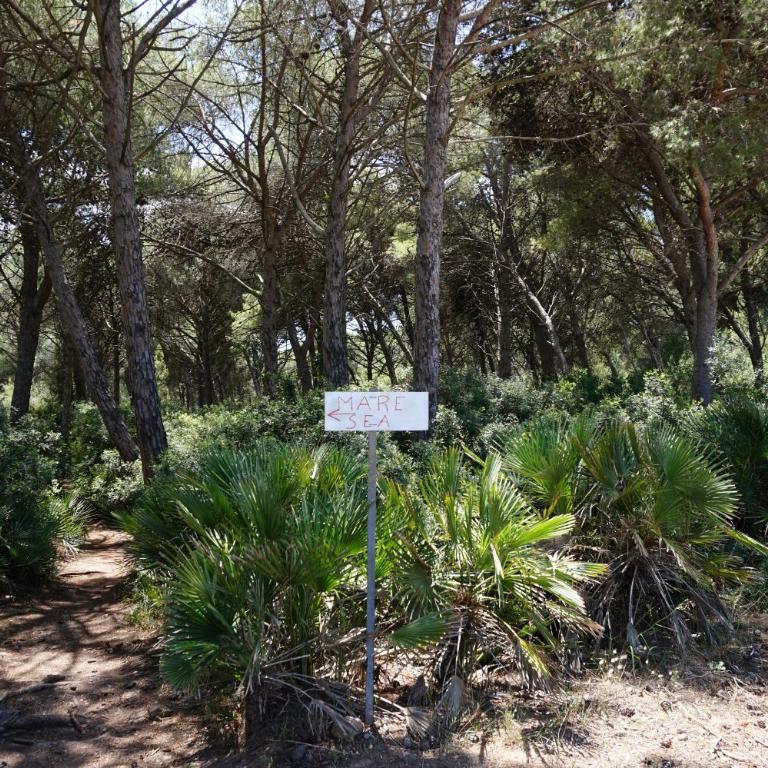 Rosanna House in Bombarde Beach - Appartamento con 2 Camere da Letto - 30