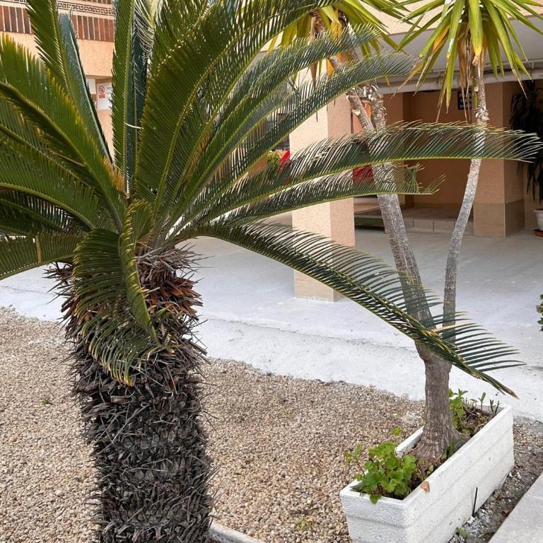 ADOME Apartment Primavera - Apartamento de 2 dormitorios - 33