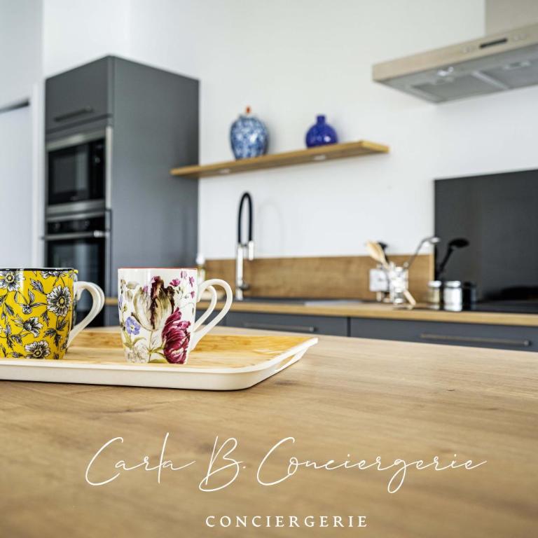 L'ECRIN CONCARNEAU 4 PERSONNEs - Appartement 2 Chambres - 12