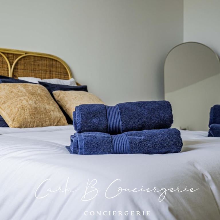 L'ECRIN CONCARNEAU 4 PERSONNEs - Appartement 2 Chambres - 16