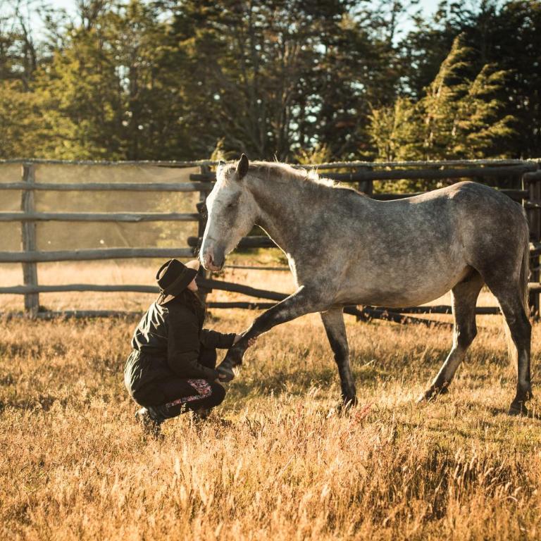Estancia Mercedes - Double or Twin Room with Private Bathroom - 11