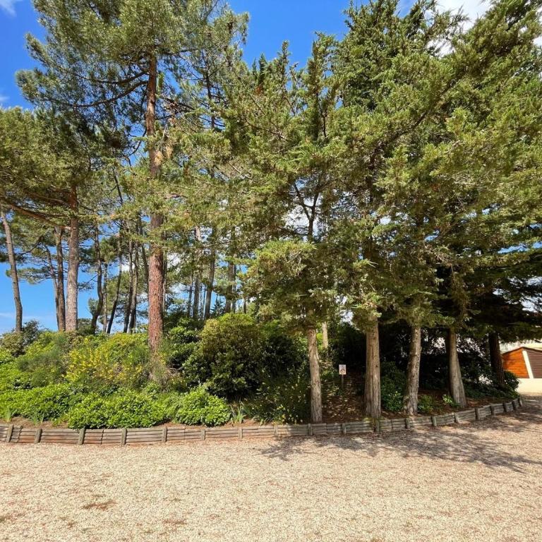 Maison chaleureuse avec piscine collective, près de la forêt, WiFi, parking privé - FR-1-323-441 - Maison de Vacances - 21